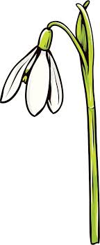 スノードロップのイラスト 画像no 7 スノードロップ ポップ 無料のフリー素材集 百花繚乱 花 イラスト イラスト イラスト画像