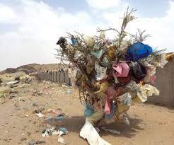 البلاستيك خطر على الإنسان قاتل للبيئة جريدة الوطن