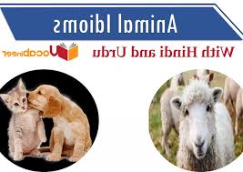 Mammals Meaning In Hindi Mammals Animals And Pets Pets