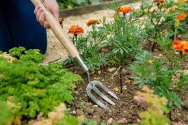 Maybe you would like to learn more about one of these? 20 Must Have Gardening Tools Every Gardener Needs The Complete List 1001 Gardens