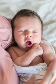 Baby Nathan Smeykal's Newborn Photos