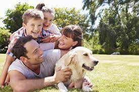 Pack Leader Dog Training