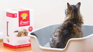 Elsey's cat food recall history. Dr Elsey S Quality Cat Litter And Cat Food Products For Cats