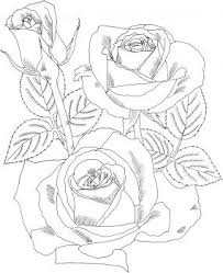 Peace Hybrid Tea Rose Coloring Page Super Coloring Rose Coloring Pages Rose Embroidery Pattern Embroidery Patterns Free