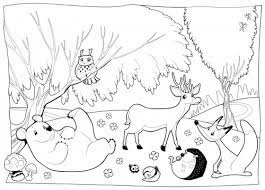 Ah, the smell of the fresh air, trees, and earth in nature's grandest location. Detailed Coloring Page Forest Creatures Kidspressmagazine Com Animal Coloring Page Animal Coloring Pages Detailed Coloring Pages