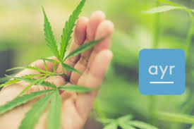 Created in 2000, hollister co. Ayr Wellness Cannabis Secures Acquisition Of New Jersey S Garden State Dispensary In 101m Deal Benzinga