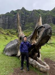 Image result for Kuloa