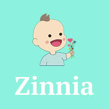 Pronunciation of zinnia with 4 audio pronunciations, 4 synonyms, 1 meaning, 9 translations, 14 sentences and more for zinnia. Name Zinnia Origin Meaning Pronunciation Of The Name Zinnia Charliesnames Your Baby Name App