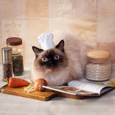 Realistic Portrait Of Monster Hunter Chef Cats Fancy Cats Chef Cats Gorgeous Pets