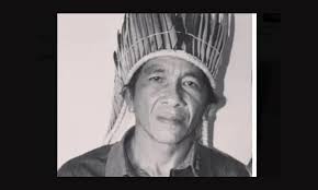 Comitê de crise investiga atentado a cacique Tembé em região da guerra do  dendê