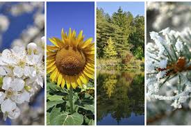 Image result for images Times and Seasons