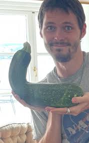 Appledore Devon Village