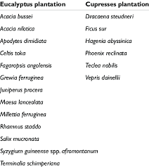 Image result for Millettia bussei