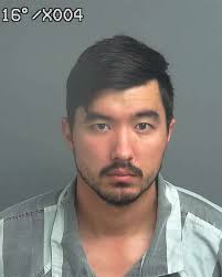 Crosby man charged with animal cruelty after dog kennel set ablaze with pit  bull chained to it