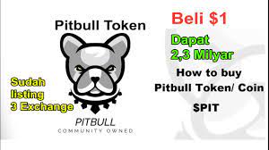 Token Pitbull Sudah Listing Di 3 Exchange Youtube