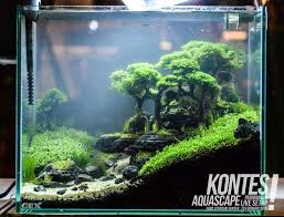 Aquariumtanksideas Aquarium Design Betta Fish Tank Aquascape Design