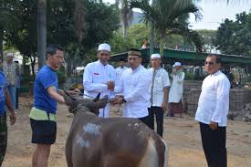 Contoh surat penawaran sapi qurban have an image associated with the other.contoh surat penawaran sapi qurban in addition, it will include a picture of a sort that might be seen in the gallery of contoh surat penawaran sapi qurban. Usai Laksanakan Sholat Idul Adha Korem 051 Wkt Potong Hewan Qurban