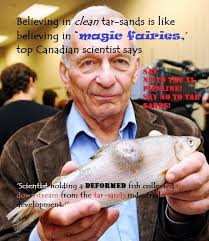 The Angry Environmentalist