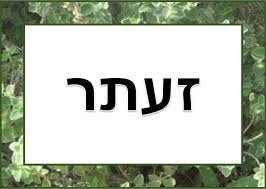 עיצוב וריטוש תמונות תפוז פורומים Projects To Try Kindergarten Letters