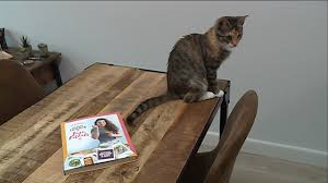 Elle A La Patate Fait Du Fitness Et Cuisine Les Bonnes Recettes De La Youtubeuse Juju Fitcats Youtube