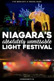 Enjoy twinkling christmas landscapes and music in the safety and comfort of special note from safari niagara: Winter Festival Of Lights In Niagara Falls What You Need To Know I Ve Been Bit Travel Blog Canada Travel Winter Light Festival Ontario Travel