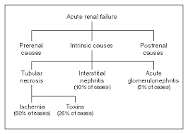 Image result for Postrenal Failure
