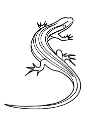 5 out of 5 stars (15) $ 5.99. Picture Of Lizard Coloring Pages Download Print Online Coloring Pages For Free Color Ni In 2021 Lizard Coloring Pages Online Coloring Pages Animal Coloring Pages