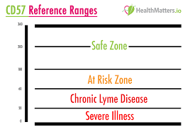 What Are Lyme Disease Markers Cd57 Lab Results Explained Healthmatters Io Lab Results Explained