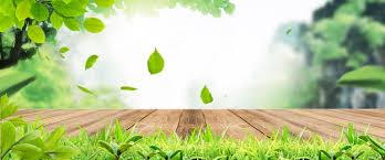 Desktop nature landscape images pics. Nature Background Photos And Wallpaper For Free Download