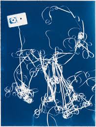 Image result for cyanotypes