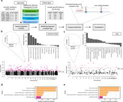 Perhaps the first hotspot analysis was that conducted by myers (1988, 1990). Mutspot Detection Of Non Coding Mutation Hotspots In Cancer Genomes Npj Genomic Medicine