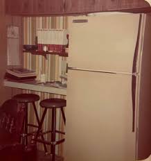 Image result for Avocado Light 1969 Tappan