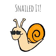 Snailed It Snail Pun Card Puns Play On Words Snail Mail Etsy Pun Card Puns Punny Puns
