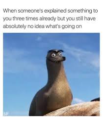 Stupid Bird From Finding Dory Finding Dory Funny Memes Really Funny Memes Funny Relatable Memes Stupid Funny Memes