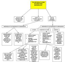 Urinary Tract Infection Acute Management In Childhood