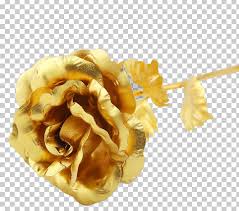 Free for commercial use high quality images. Beach Rose Gold Flower Png Clipart Beach Rose Designer Download Flavor Flower Free Png Download