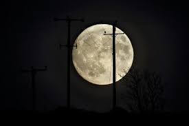 Find out how this october 2020 halloween blue moon in taurus is going to affect you. Your Horoscope And How The Super Blood Blue Moon Will Affect Your Life Cornwall Live