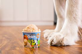 Humans aren't the only species that are sensitive to dairy. Is Ice Cream Safe For Dogs To Eat Pasteurinstituteindia Com