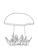 Pilze Ausmalbilder Von Pilzen