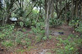 We did not find results for: Hike Black Bear Wilderness Sanford Florida Hikes