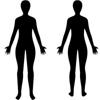 The human body is the entire structure of a human being. Human Body Icon 413668 Free Icons Library