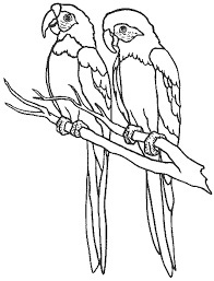 🖍 over 6000 great free printable color pages. Images Of Birds To Colour In My Kids Puzzles Amp Pictures At My Kids Animal Coloring Pages Bird Coloring Pages Cartoon Coloring Pages