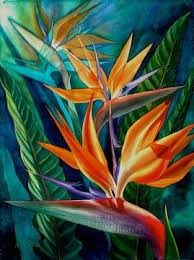 Bird Of Paradise Flower Bouquet Uk Transparent Watercolor Bird Of Paradise Workshop Tropical Painting Paradise Painting Watercolor Flowers