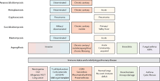 The health alert isn't a mandate but does suggest doctors may do an antibody test on immunocompromised patients to help determine if a booster dose is needed. Pulmonary And Sinus Fungal Diseases In Non Immunocompromised Patients The Lancet Infectious Diseases