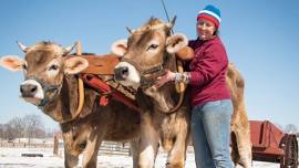 Oxen Driving