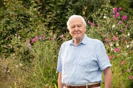 David Attenborough's 100th birthday to be celebrated with three new shows |  North Wales Chronicle