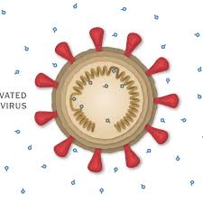 Vaccine on live television, uncertainty swirls over the efficacy of the leading chinese shot. How The Sinovac Covid 19 Vaccine Works The New York Times
