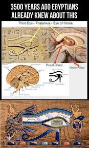 Information-Treasure - #egypt #pineal #gland | Facebook