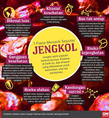 Maybe you would like to learn more about one of these? Tujuh Fakta Menarik Seputar Jengkol Humas Usm Indonesia
