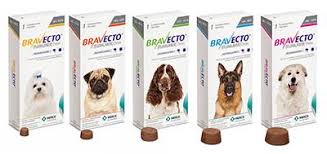 The drugs come in a soft chew that your dog can eat like a treat. Bravecto Flea Tick Chewable For Dogs 1 Chew 3 Months Protection Penny Paws